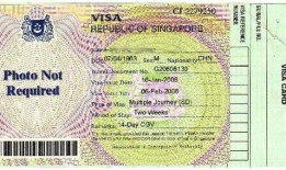 新加坡留学签证(新加坡留学办什么签证)